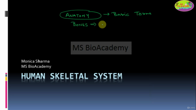 Easy Anatomy|Physiology of Human Bones: Animation - Screenshot_01