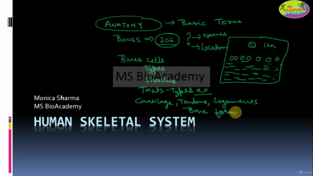 Easy Anatomy|Physiology of Human Bones: Animation - Screenshot_02