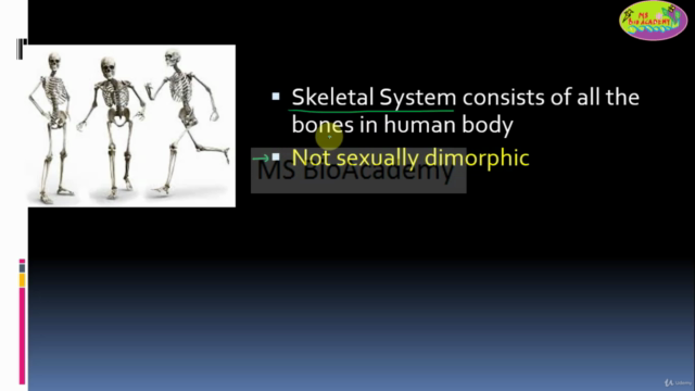 Easy Anatomy|Physiology of Human Bones: Animation - Screenshot_03