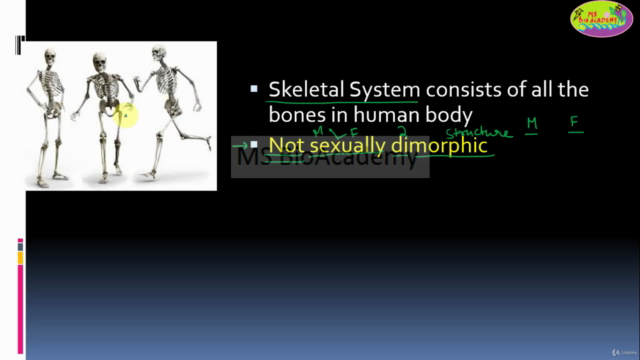 Easy Anatomy|Physiology of Human Bones: Animation - Screenshot_04