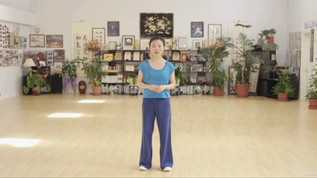 Tai Chi for Women (or anyone!) 10-Form: Master Helen Liang – Screenshot 1
