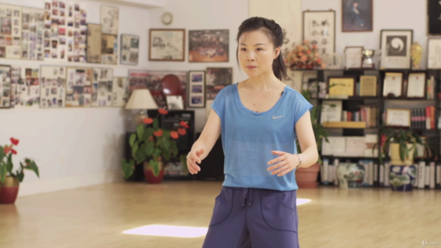 Tai Chi for Women (or anyone!) 10-Form: Master Helen Liang – Screenshot 2