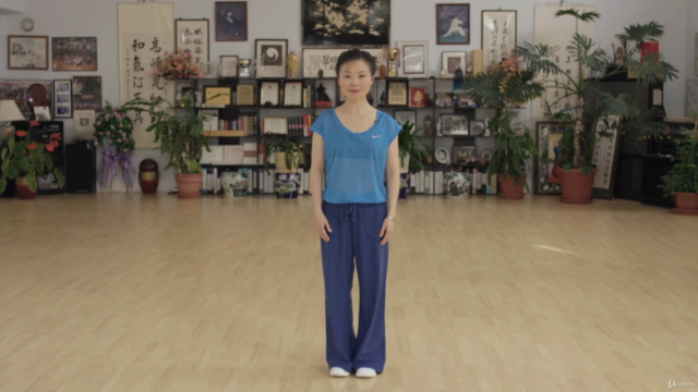 Tai Chi for Women (or anyone!) 10-Form: Master Helen Liang – Screenshot 4