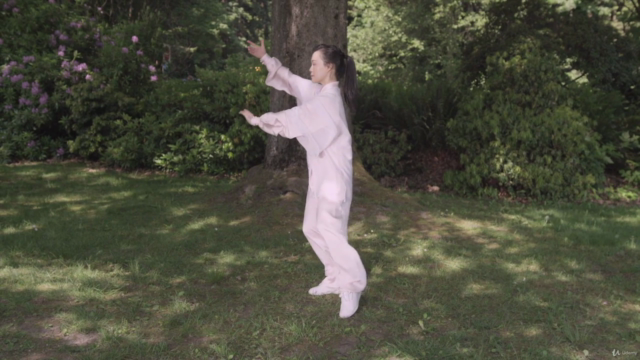 Simplified Tai Chi 48 Form with Master Helen Liang / YMAA – Screenshot 1