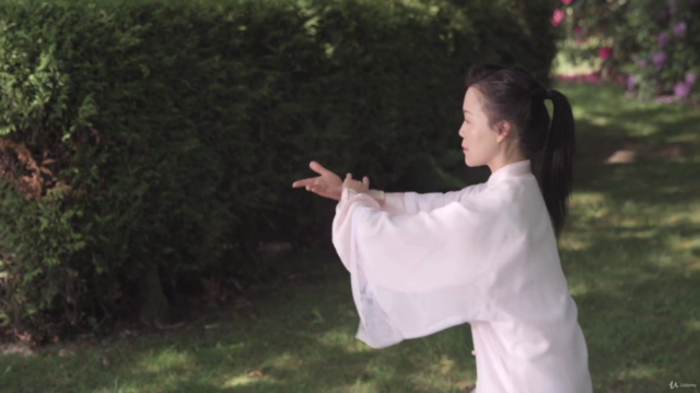 Simplified Tai Chi 48 Form with Master Helen Liang / YMAA – Screenshot 2