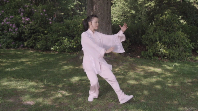 Simplified Tai Chi 48 Form with Master Helen Liang / YMAA – Screenshot 3