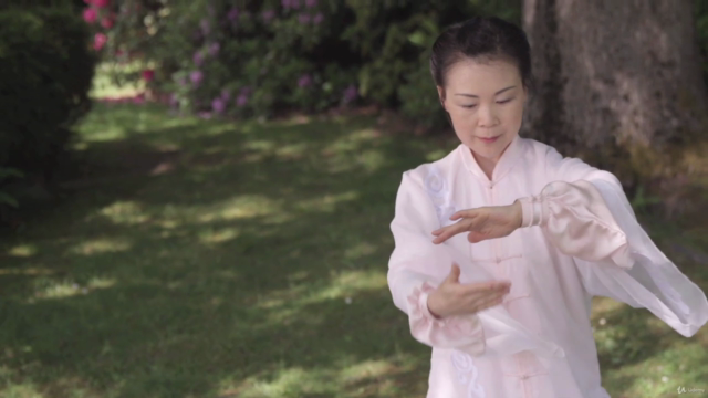 Simplified Tai Chi 48 Form with Master Helen Liang / YMAA – Screenshot 4