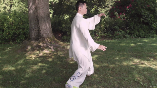 Simplified Tai Chi 24 Form with Master Helen Liang / YMAA – Screenshot 1