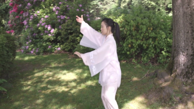 Simplified Tai Chi 24 Form with Master Helen Liang / YMAA – Screenshot 2