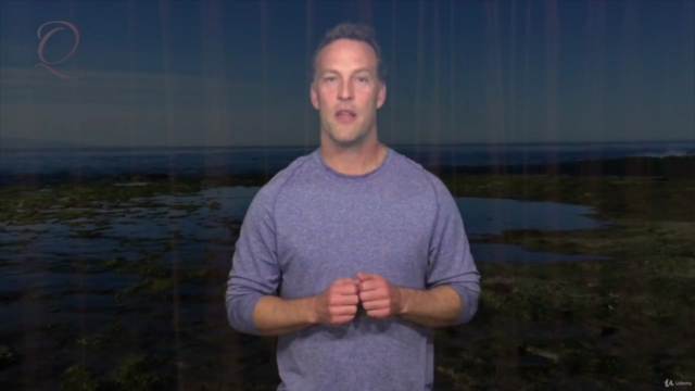 Qi Gong: 30-Day Challenge with Lee Holden. 30 short workouts – Screenshot 4