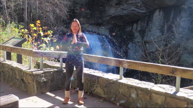QIGONG FOUNDATION & EXERCISES IN NATURE BEGINNER & ALL LEVEL – Screenshot 4