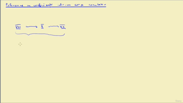 Polinoame pentru toti – Screenshot 1