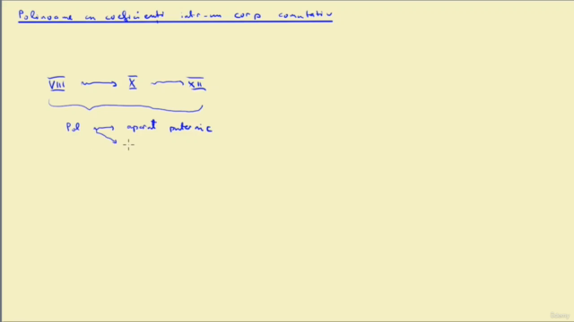Polinoame pentru toti – Screenshot 2