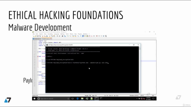 Ethical Hacking Foundations: Malware Development in Windows - Screenshot_03