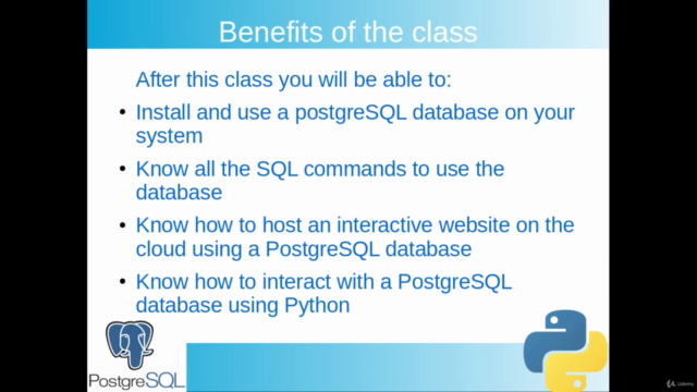 PostgreSQL Databases & Python – Screenshot 2