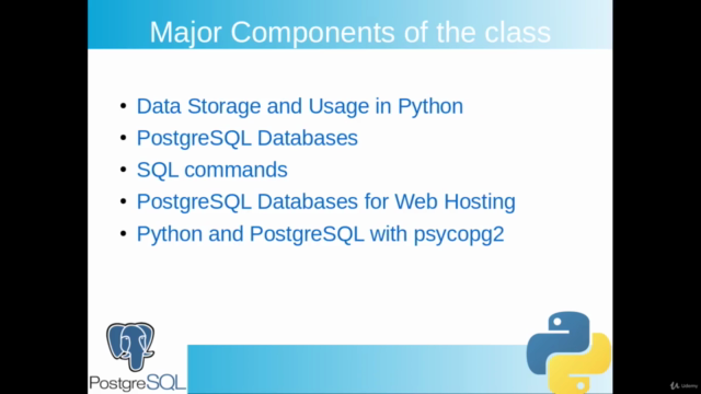 PostgreSQL Databases & Python – Screenshot 3