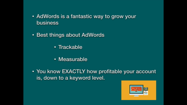 Google AdWords: Structuring & Optimizing For Maximum Profit – Screenshot 2