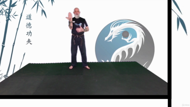 Learn Kung Fu Online for beginners – Screenshot 2