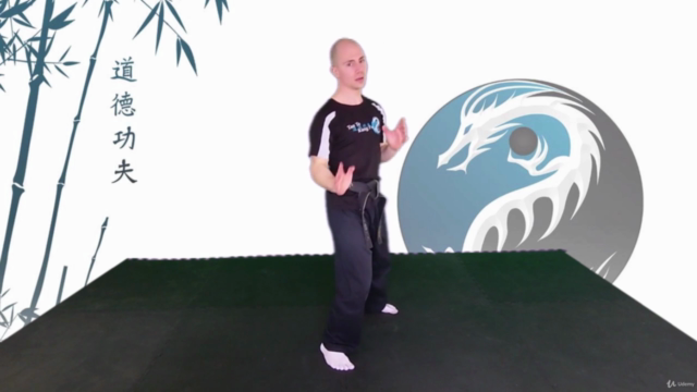Learn Kung Fu Online for beginners – Screenshot 3