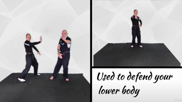 Learn Kung Fu Online for beginners – Screenshot 4