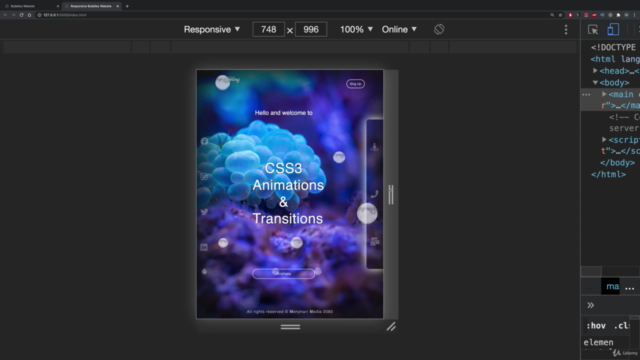 Master Responsive Web Design CSS Grid, Flexbox & Animations - Screenshot_03