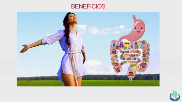 Probióticos Para Salud Intestinal: curso exclusivo – Screenshot 2