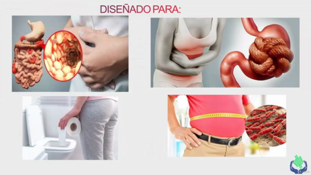 Probióticos Para Salud Intestinal: curso exclusivo – Screenshot 4