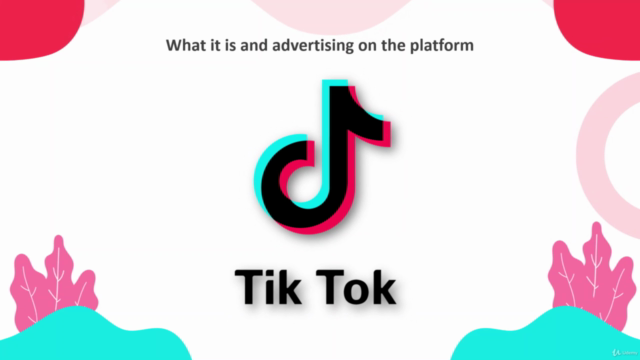 The Complete TikTok Advertising Course for Marketers – Screenshot 2