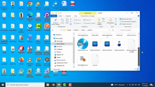 Crear una aplicación para escritorio para gestión médica – Screenshot 1
