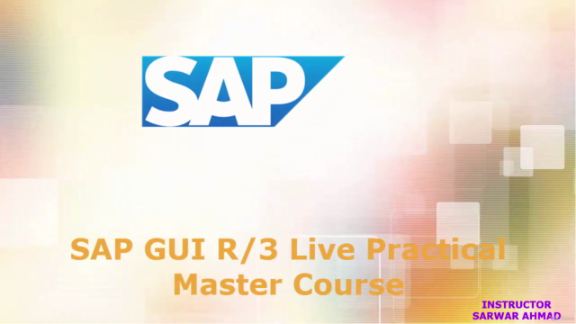 SAP GUI R/3 Live Practical Master Course – Screenshot 1