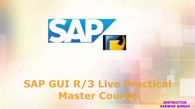 SAP GUI R/3 Live Practical Master Course – Screenshot 2