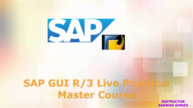 SAP GUI R/3 Live Practical Master Course – Screenshot 3