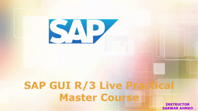 SAP GUI R/3 Live Practical Master Course – Screenshot 4