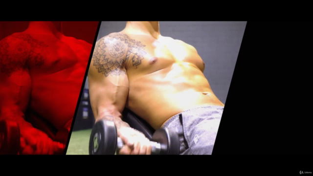Fitness Crash Course: How To Build The Body Of Your Dreams – Screenshot 2