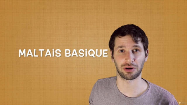 Apprenez le maltais: cours de débutants de langue maltaise – Screenshot 2