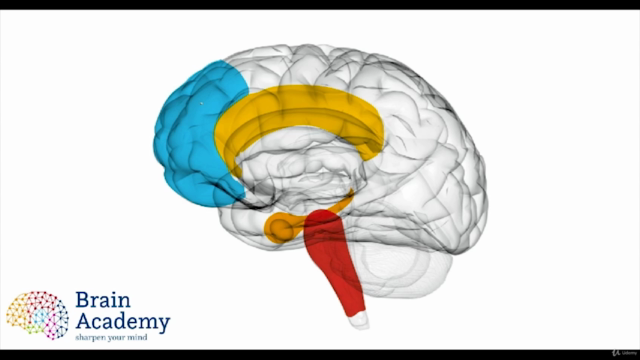 Domine o seu cérebro: Neurociência e desenvolvimento pessoal – Screenshot 3