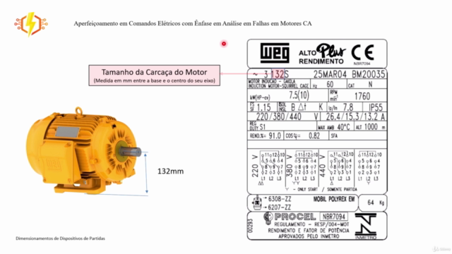 Especificação e Dimensionamento de Motores Elétricos – Screenshot 3