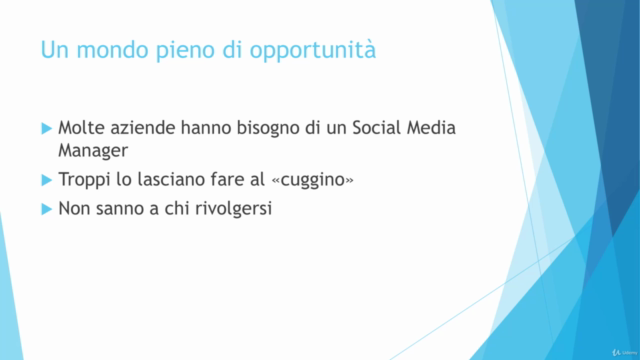 Corso Social Media Manager: Il Lavoro Freelance che Sognavi – Screenshot 3