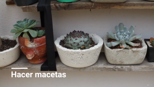 "Tu Jardín Soñado: Guía Completa de Jardinería" – Screenshot 1