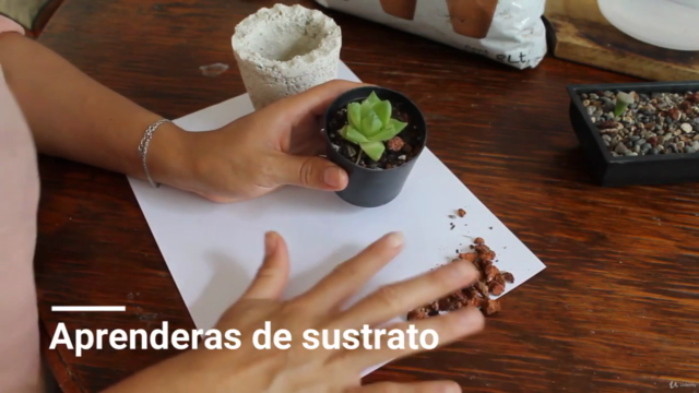 "Tu Jardín Soñado: Guía Completa de Jardinería" – Screenshot 2