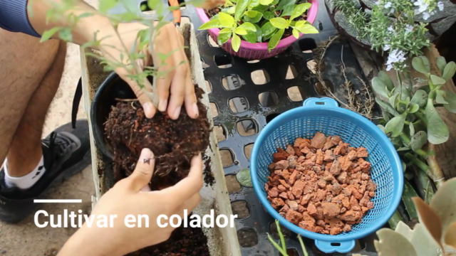 "Tu Jardín Soñado: Guía Completa de Jardinería" – Screenshot 4