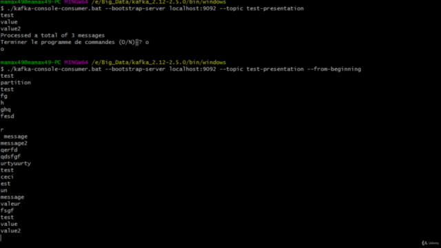 Apache Kafka pour débutant – Screenshot 3