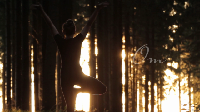 Train your Om®️ - Premium Yoga Kurs (Alle Level) – Screenshot 3