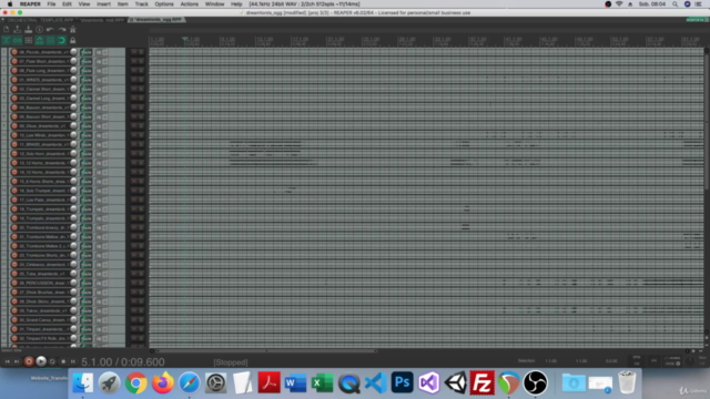 Orchestral Template for Beginners – Screenshot 3