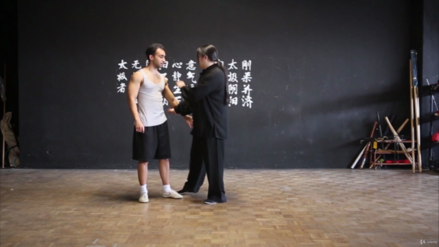 Tai Chi 24 - Sektionen (mit Erklärungen) – Screenshot 2