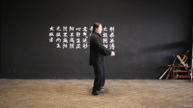 Tai Chi 24 - Sektionen (mit Erklärungen) – Screenshot 3