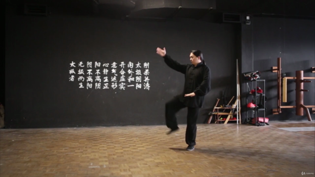 Tai Chi 24 - Sektionen (mit Erklärungen) – Screenshot 4