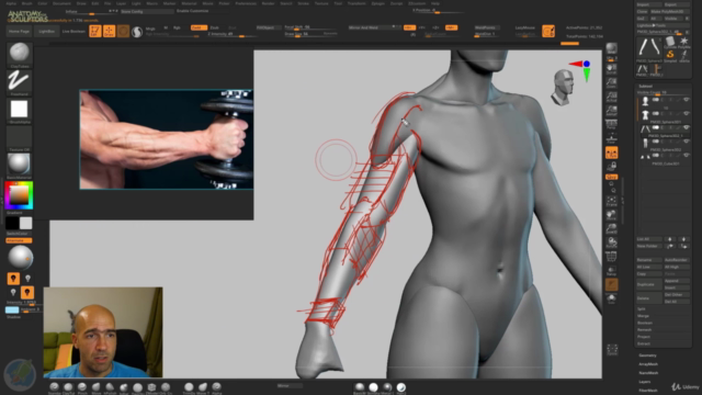 Female anatomy for artists – Screenshot 3