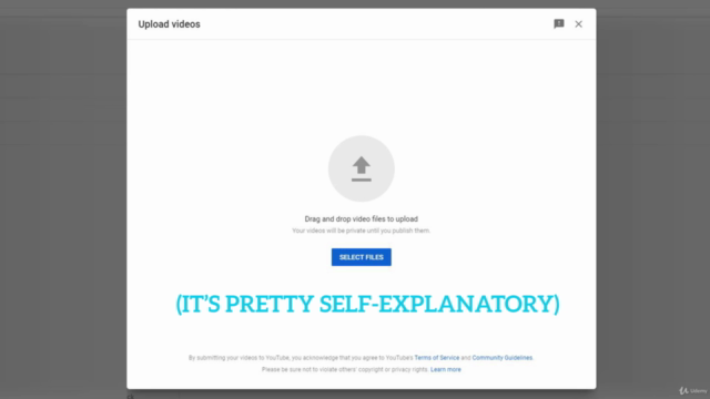YouTube Success: Create and Grow Your YouTube Channel – Screenshot 3