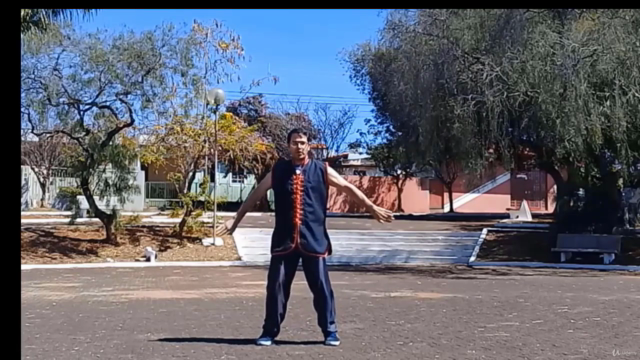 Curso de Kung-Fu Louva-a-deus 07 estrelas – Screenshot 2